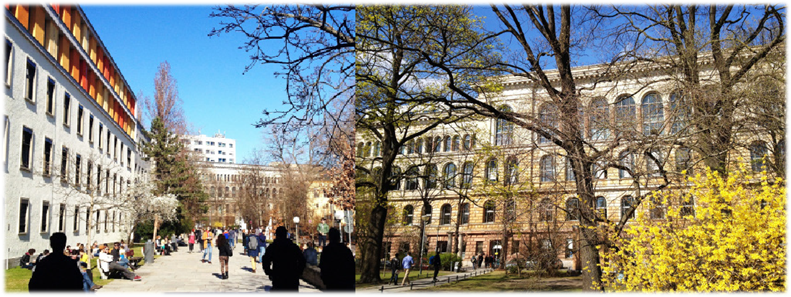 Campus View
